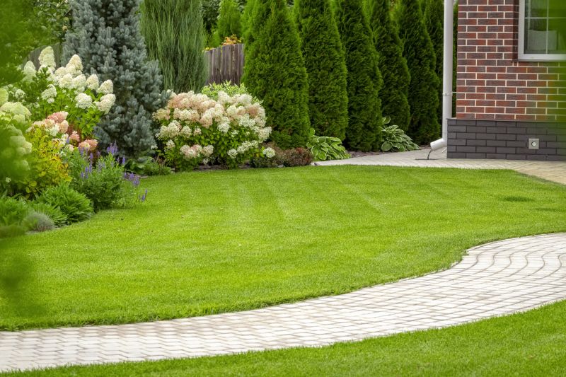 Paver Walkway