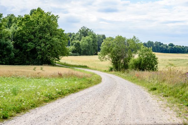 Cost of Stone Driveway Repair in Gilbert
