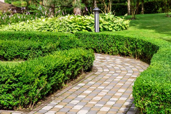 Cost of Paved Landscaping in Gilbert