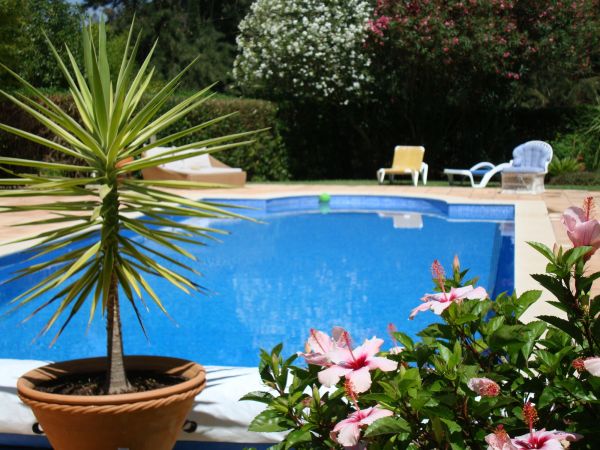 Cost of Pool Terrace Renovation in Gilbert